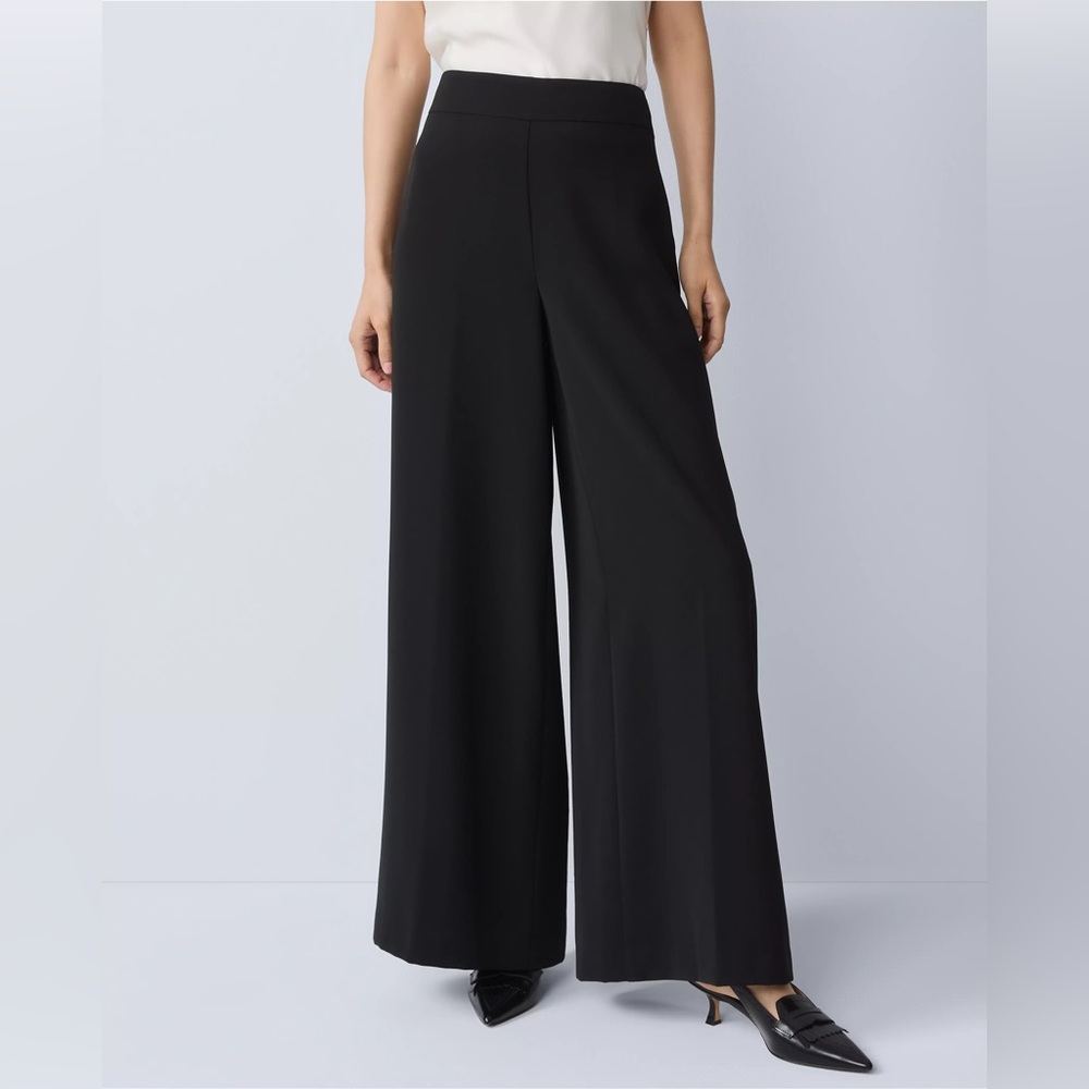 Elegant Black Wide-Leg Pants